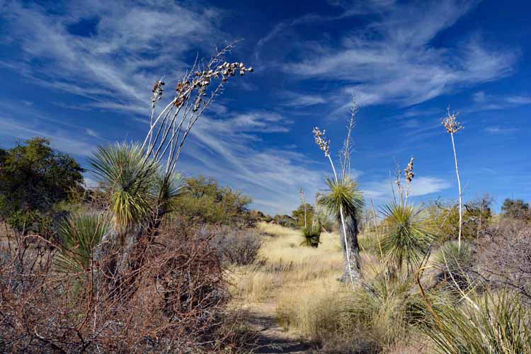 hiking trail 